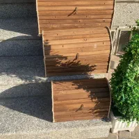 دیزاین و حکاکی/صندوقچه/باکس چوبی/جام آجیل یلدا|خدمات پذیرایی، مراسم|قم, هفت تیر|دیوار