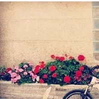 اجاره مغازه نانوایی 78 متری