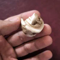 باستانی