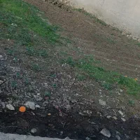 زمین|فروش زمین و ملک کلنگی|کردکوی, |دیوار