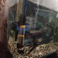 اکواریوم کامل