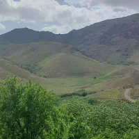 باغ-دارای-درختان-میوه-همراه-با-استخر-بزرگ