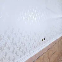 رنگ امیزی فقط با 85ت|خدمات پیشه و مهارت|بندر ماهشهر, |دیوار