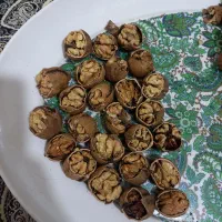 گردو تویسرکان|خوردنی و آشامیدنی|چهارباغ, |دیوار