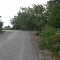 فروش-زمین