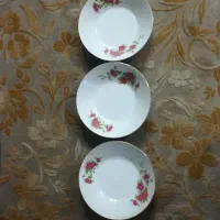 ظروف گل سرخی زیر قیمت کل بازار