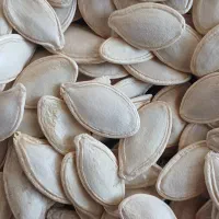 تخمه کدو گوشتی