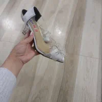 از ۳۵۰ تا ۷۹۰ انواع کفش هیراد غفور مجلسی موجود