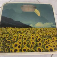 باکس و جعبه یا استند سرویس قاشق و چنگال|ظروف سرو و پذیرایی|اهواز, زیتون کارمندی|دیوار