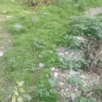 زمین مسکونی