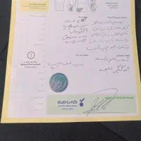 ۲۰۷ مدل ۱۳۹۰ دنده‌ایی