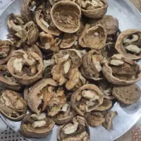 گردوی ایرانی اعلا