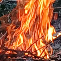 بازی پ های مود شده