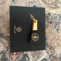 جاسوییچی طلا