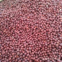 عناب|خوردنی و آشامیدنی|جلگه ماژان, |دیوار