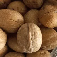 گردو خرده و عمده|خوردنی و آشامیدنی|تهران, نازی‌آباد|دیوار