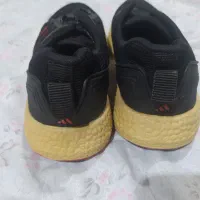 فروش کفش زنونه adidas|کیف، کفش، کمربند|گالیکش, |دیوار