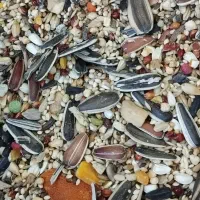 بورس خوراک پرندگان ( گل دانه)|لوازم جانبی حیوانات|قم, فرهنگیان و شهربانی|دیوار