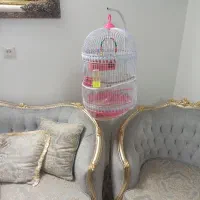 فروش قفس پایه دار با ی مرغ عشق سفید