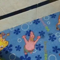 فرش وموکت|فرش|زابل, |دیوار