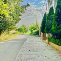 زمین-خوش-قواره-سند-تکبرگ