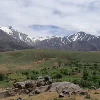 زمین-باغی-ویلایی-جاده-امامزاده-کوه