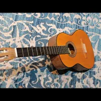 گیتار|گیتار، بیس، امپلیفایر|فردیس, منظریه|دیوار