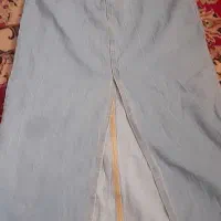 دامن لی