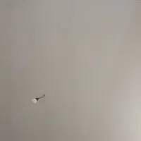 گردنبند بدل پیدا شده