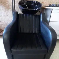 سرشور سالنی