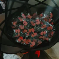 انواع گل روبانی و پروانه‌ای|گل مصنوعی|زاهدان, |دیوار