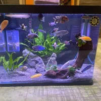 اکواریوم شیشه خمیده اکوا با تمام لوازم