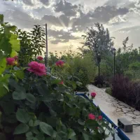باغ شهری