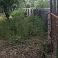 زمین|فروش زمین و ملک کلنگی|ضیابر, |دیوار