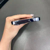 ۱۳ پرو|موبایل|رشت, کاکتوس|دیوار