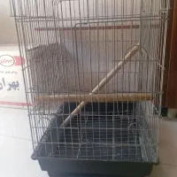قفس پرنده کاسکو عروس گرینچیک