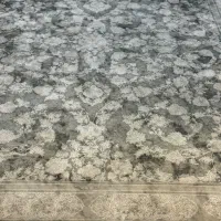 فرش|فرش|پردیس, فاز ۹|دیوار