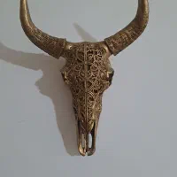 دوعدد کله قوچ