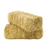 کلش گندم۲۰تن چکی۶ماهه کیلویی ۱۶فروشنده تماس