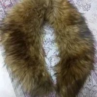 یقه خز|لباس|کرج, شاهینویلا|دیوار