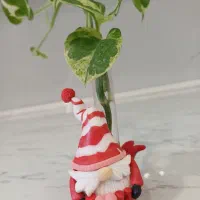 گلدون|گل و گیاه طبیعی|مشهد, فرهنگیان (شهرک غرب)|دیوار