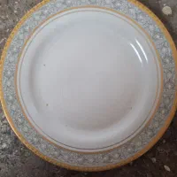 چینی پردیس