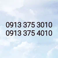 09133753010