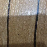 فروش زمین فاز ۴ پلک ۲۷