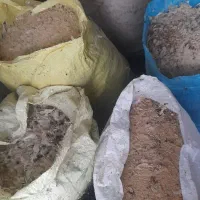 فضله کبوتر، کود باغچه