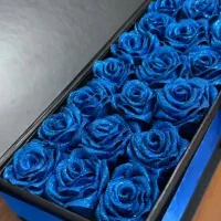 رز روبانی کادوی روز دختر