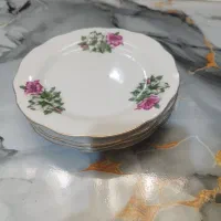 بشقابهای گل سرخی ۵تاش۲۵۰صالحیه