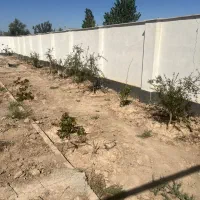 زمین ویلایی درختکاری دیوارکشی یزدآباد اقساطی