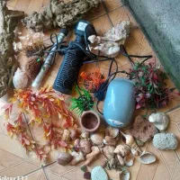 لوازم اکواریوم