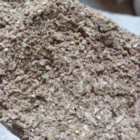 خوراک پرنده